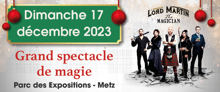 Achetez serie tv le magicien occasion, annonce vente à Metz (57) WB163468089